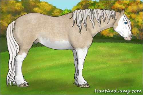 Horse Color:Silver Smoky Grullo Roan Splash 