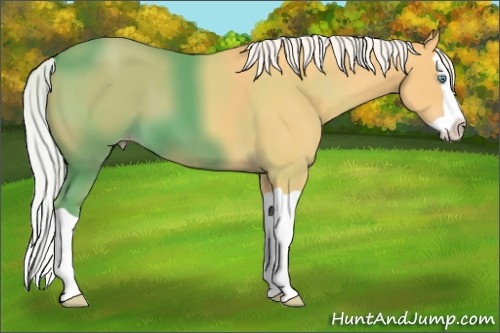 Horse Color:Silver Amber Cream Champagne Splash 