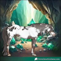 Horse Color:White Spotted Liver Chestnut Frame Appaloosa 