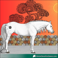 Horse Color:Gray White Spotted Black Tobiano Blanket 