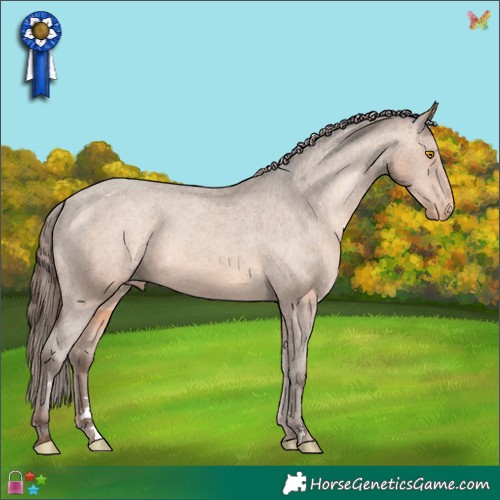 Horse Color:Sable Champagne Appaloosa Rabicano 