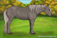 Horse Color:Silver Black