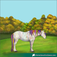 Horse Color:Painted Chestnut Ice