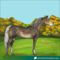 Horse Color:Silver Smoky Black Sabino Tobiano 