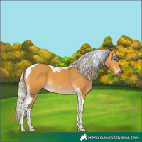 Horse Color:Silver Buckskin Tobiano