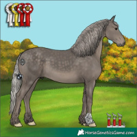 Horse Color:Silver Black 
