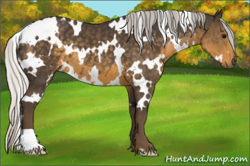 Horse Color:White Spotted Silver Smoky Black 