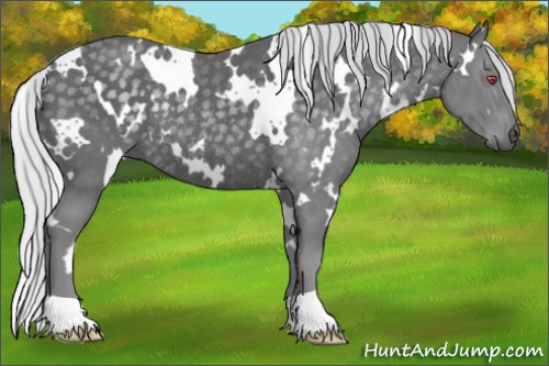 Horse Color:White Spotted Silver Smoky Black Chinchilla Rabicano 