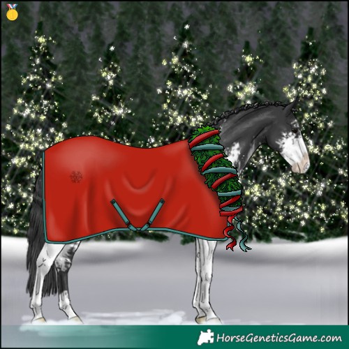 Horse Color:Black Sabino