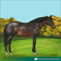 Horse Color:Brown 
