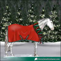 Horse Color:Liver Chestnut Sabino 