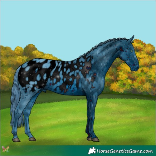 Horse Color:ERROR: UNKNOWN ANOMALY