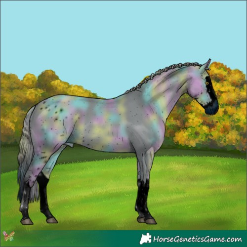 Horse Color:ERROR: UNKNOWN ANOMALY