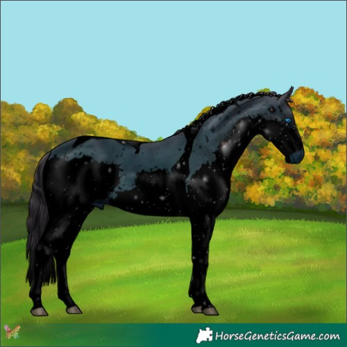 Horse Color:ERROR: UNKNOWN ANOMALY