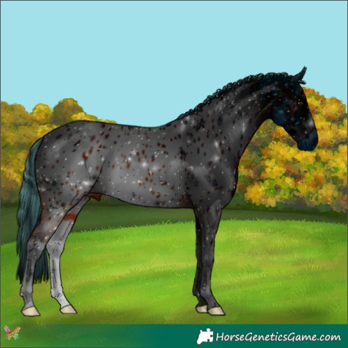 Horse Color:ERROR: UNKNOWN ANOMALY