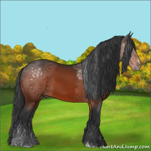 Horse Color:Brown Sabino 