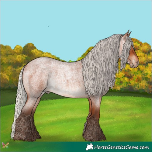 Horse Color:Silver Bay Roan 