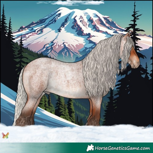 Horse Color:Silver Bay Roan 
