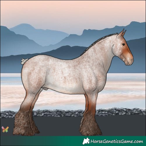 Horse Color:Silver Bay Roan 