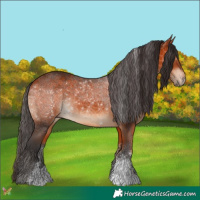 Horse Color:Bay Sabino 