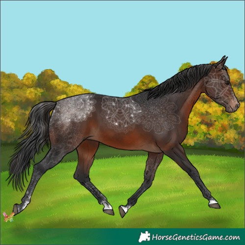 Horse Color:Brown 