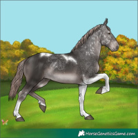 Horse Color:Platinum Liver Chestnut Tobiano 