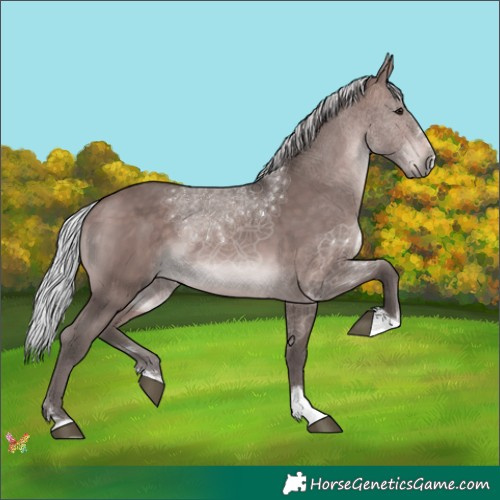 Horse Color:Platinum Silver Brown