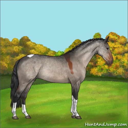 Horse Color:Bay Dun Tobiano 