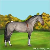 Horse Color:Bay Dun Tobiano 