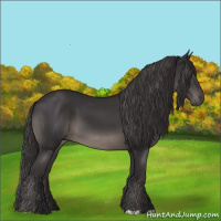 Horse Color:Smoky Black 