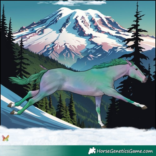 Horse Color:Watercolor Buckskin Tobiano 