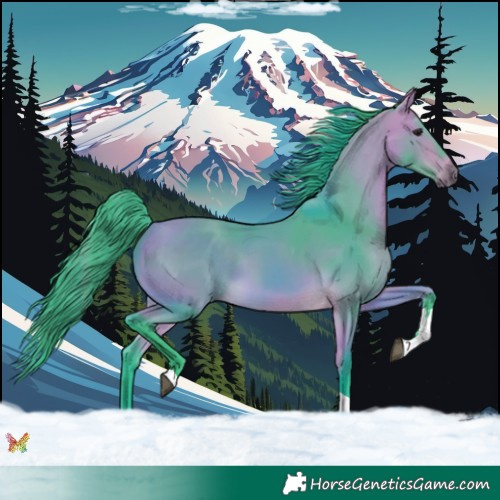 Horse Color:Watercolor Buckskin Tobiano 