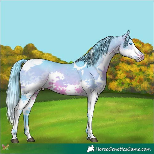 Horse Color:Watercolor Brown Splash Tobiano 