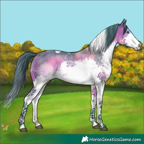 Horse Color:Watercolor Brown Splash Tobiano 
