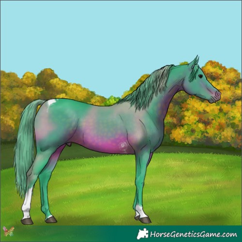 Horse Color:Watercolor Brown Tobiano 