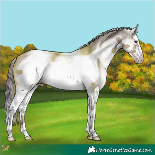 Horse Color:Watercolor White Spotted Classic Champagne Splash Frame 