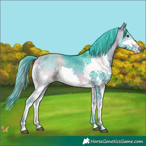 Horse Color:Watercolor White Spotted Buckskin Splash Tobiano 