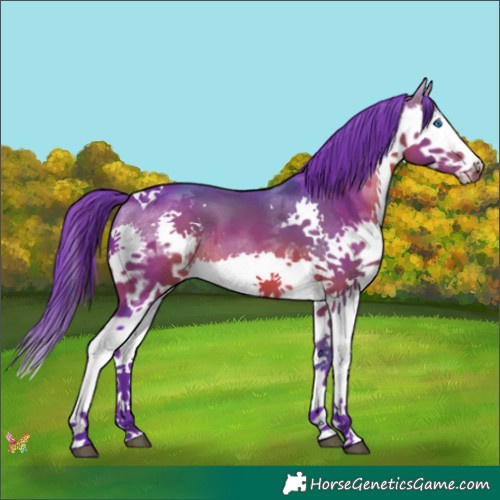 Horse Color:Watercolor Brown Splash Tobiano 