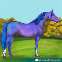 Horse Color:Watercolor Bay Tobiano 