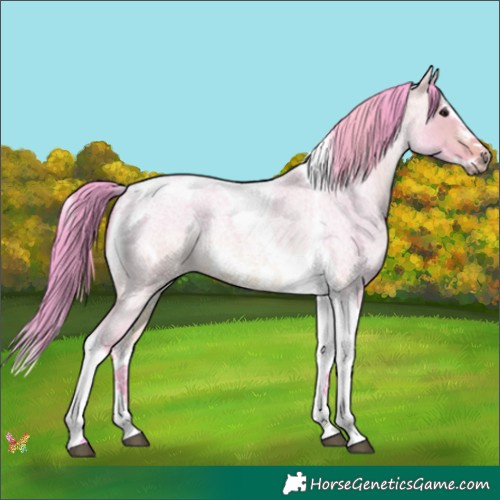 Horse Color:Watercolor Bay Roan Dun Splash Tobiano Frame Rabicano 