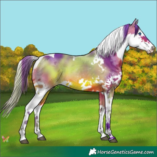 Horse Color:Watercolor Bay Splash Tobiano 