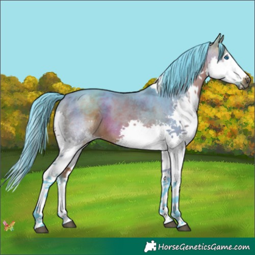 Horse Color:Watercolor Bay Splash Tobiano 