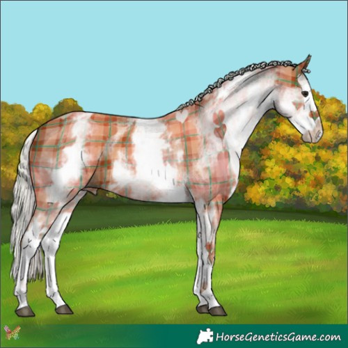 Horse Color:Plaid  White Spotted Silver Bay Splash 