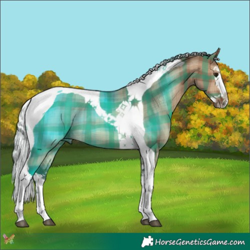 Horse Color:Plaid  Silver Brown Dun Splash Tobiano 