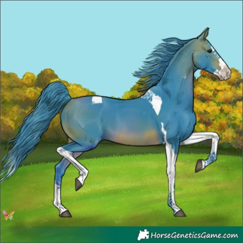 Horse Color:Watercolor Bay Splash Tobiano 