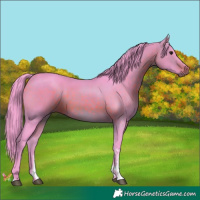 Horse Color:Watercolor Bay Tobiano 