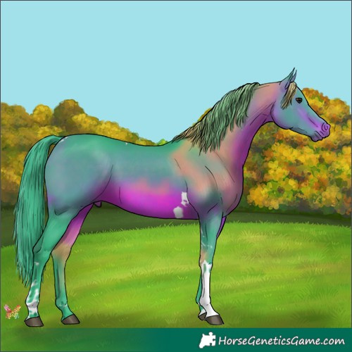 Horse Color:Watercolor Brown Tobiano 