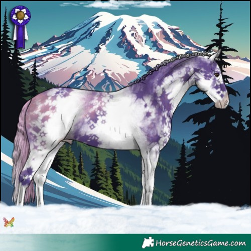 Horse Color:Watercolor White Spotted Liver Chestnut Splash 