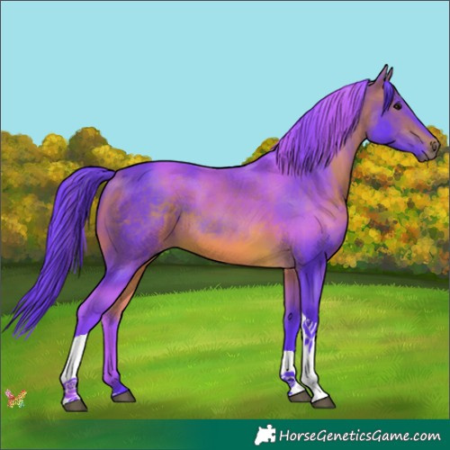 Horse Color:Watercolor Bay Tobiano 