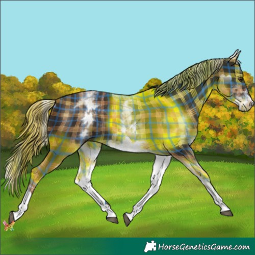 Horse Color:Plaid  White Spotted Liver Chestnut 
